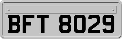 BFT8029