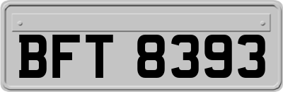 BFT8393