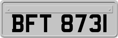 BFT8731