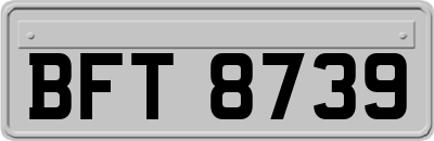 BFT8739