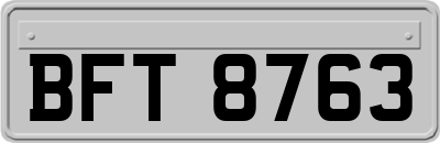 BFT8763