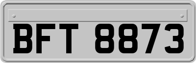 BFT8873