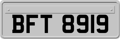 BFT8919