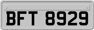 BFT8929