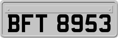 BFT8953