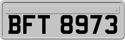 BFT8973