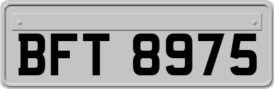 BFT8975