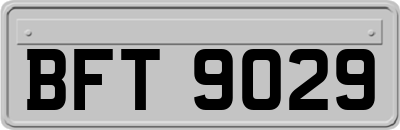 BFT9029