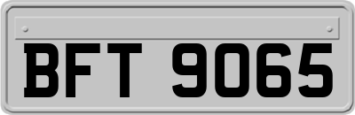 BFT9065