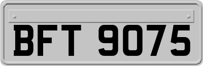 BFT9075