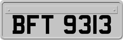 BFT9313