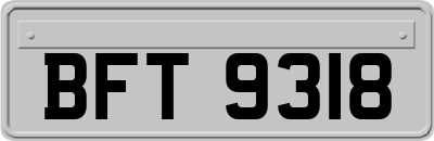 BFT9318
