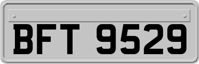 BFT9529