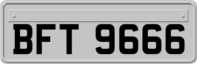 BFT9666
