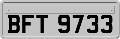 BFT9733