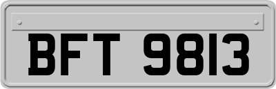 BFT9813