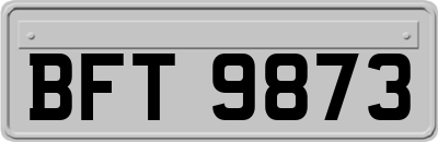 BFT9873