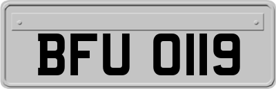 BFU0119