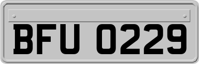 BFU0229