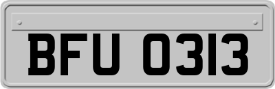 BFU0313