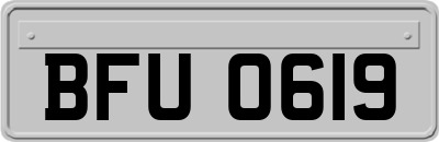 BFU0619
