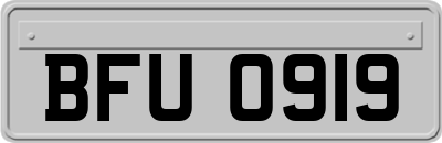 BFU0919