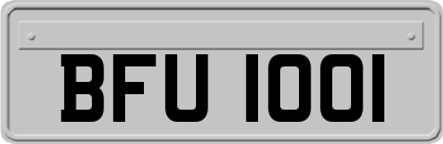 BFU1001