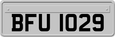 BFU1029