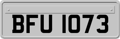BFU1073