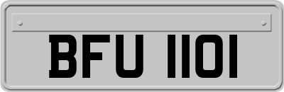 BFU1101