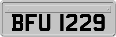 BFU1229
