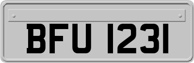 BFU1231