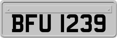 BFU1239