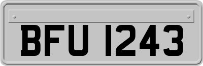 BFU1243