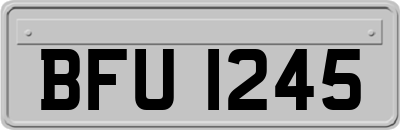 BFU1245