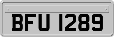 BFU1289