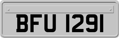 BFU1291