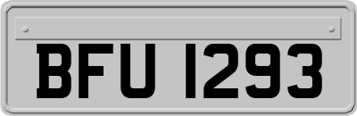 BFU1293