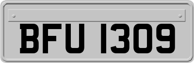 BFU1309