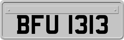 BFU1313