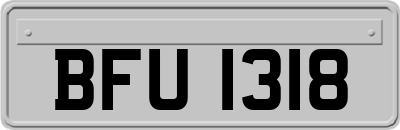 BFU1318