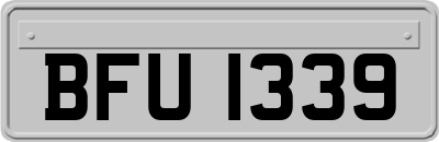 BFU1339