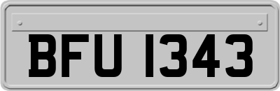 BFU1343