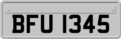 BFU1345