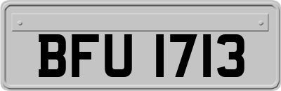 BFU1713