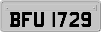 BFU1729