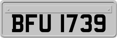 BFU1739