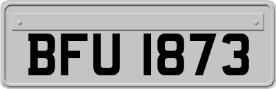 BFU1873