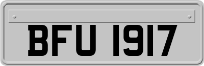 BFU1917
