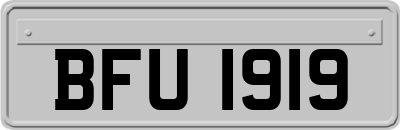 BFU1919